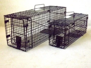 Foldable Live animal trap, pest control, cage trap, trap cage