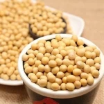 Raw Soybeans
