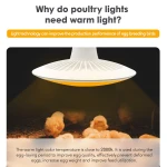 LED Poultry Light