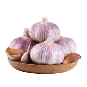 High Quality Fresh Garlic, High Quality Services