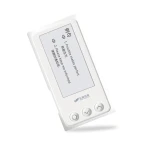 Electronic Word Card