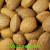 Import Almonds from Uzbekistan