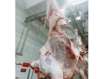 Fresh Chilled Beef