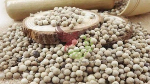 White Pepper,Lada Putih