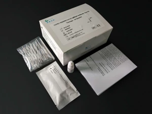 Antibody Detection Kit