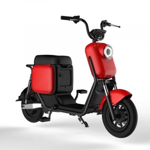 Europe warehouse competitive price 20Ah 30Ah big battery long range 1000w citycoco electric scooter motorcycle