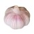 Import High Quality Fresh Garlic, High Quality Services from China