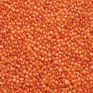 Pulses,Lentils,Legumes