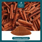 Cinnamomum Cassia Extract