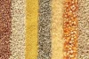 Grains (Rice, Barley, Oats, Wheat, Maize, Millet, Sorghum...etc)