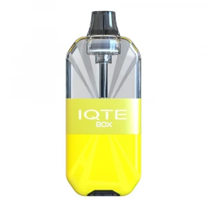 IQTE BOX 6000 puffs rechargeable disposable vape e-cigarette wholesale vape pen