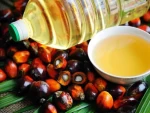 RBD Palm Oil - Vegetable Cooking Oil, Bleached Deodorized Palm Oil