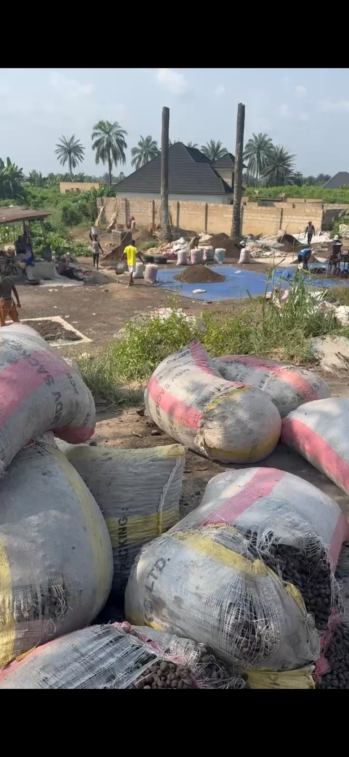 Buy Premium Palm Kernel Shells (pks) - Biomass Fuel - 100kg Bags from ...
