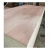 Import Commercial Plywood For Flooring, Furniture And Construction from Vietnam