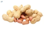 Peanut