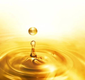 Buy Diesel Fuel D2 from Seshottex, South Africa | Tradewheel.com