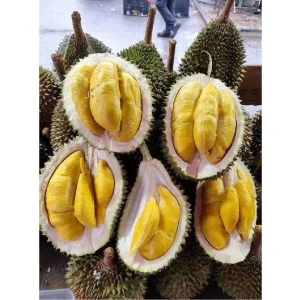 100% Fresh Super Sweet Taste Premium Quality Musang King Durian Whole Fruit Export From south africa