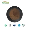 Reetha Extract Powder