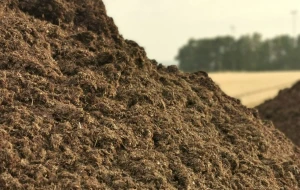 Horse manure fertiliser