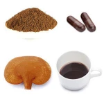 10% to 30% polysaccharide Medicinal fungi Ganoderma Lucidum Reishi Powder Herbal Extract