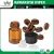 Import 100% Natural Coffee Bean Carrier Oil from India