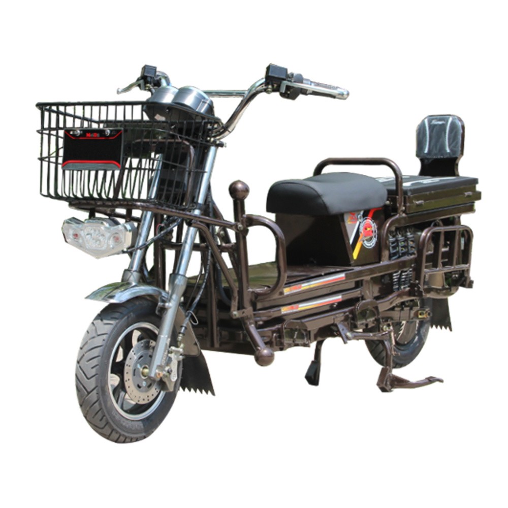 1200W Lengthen Motorcycle Electric Vehicle with Pedal (EM-049)