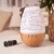 Import 130ml Smart Home Music Player Aromatherapy Air Diffuser from China