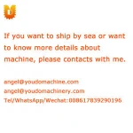 1500kg/h Stainless steel vegetable washer & peeler