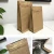 Import 16 oz kraft paper pocket zipper coffee packaging bags with valve for turkey from China