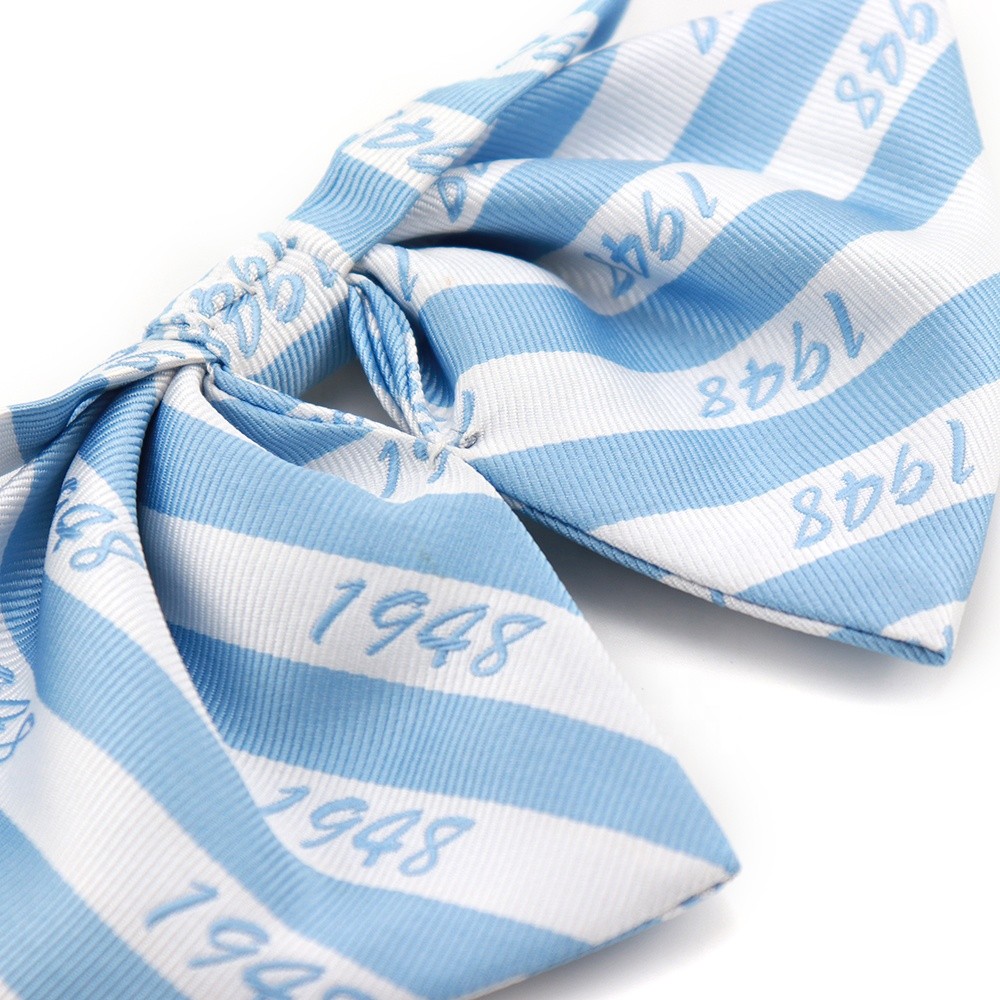 1948 Letters Custom Polyester Dress Bow Ties High Quality White Blue Adjustable Striped Sorority Logo Neck Bow Tie Women