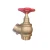Import 2 inch Fire Hose Landing Valve Angle type Hydrant Valve from China