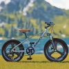 20 inch children bicycle with suspension with training wheels and coaster brake