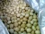 Import 2019 High Quality Macadamia Nuts/Macadamia Nut Kernels from South Africa
