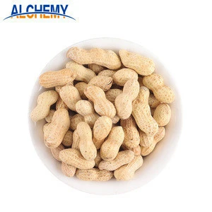 2019 new peanuts seed with red skin direct factory package