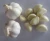 Import 2020 Crop Fresh Seasoning White Garlic For Wholesaler from China