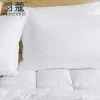 2020 Luxury Hotel Linen Slipper 233TC Down Proof Fabric Hotel Feather Down Pillow