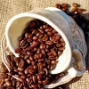 2021 Roasted Whole Coffee Blend- 500g Robusta Blend 8038 - Whole Robusta Coffee Beans - MEDIAONSKY CAFE