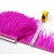Import 25 color colorful cheap ostrich feathers for dress from China