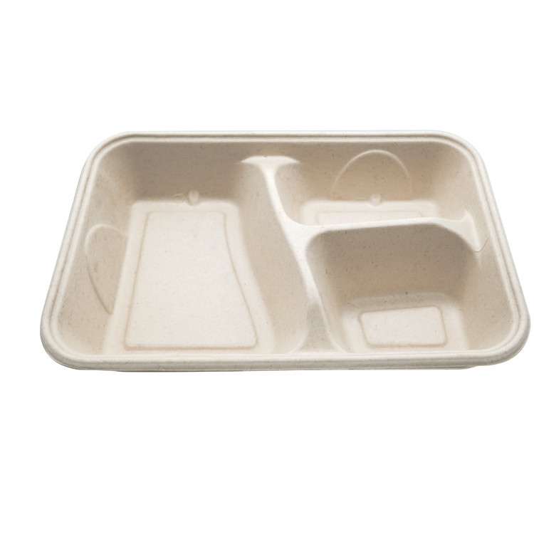 Buy 3 Compartment Biodegradable Takeaway Food Box With Lid from ...