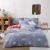 3 Piece100% microfabric American Style Bedding Set Bed Sheet  Duvet Cover and Pillow Shams Bedding Set