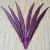 30-35cm dyed purple pheasant feather for carnival decoration