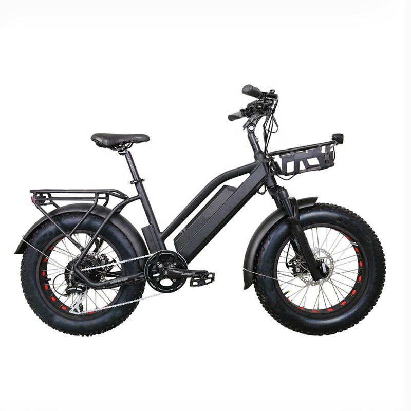 48V 500W Fat Tire Electric Bike with Lithium Battery (ML-TDN08Z-fat)