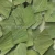 Import 5013 Heye Dried Slimming Lotus leaves Chinese herbal medicine from China