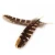 Import 6-7.2 Inch(15-18 cm)High Quality Natural Patterned Pheasant Wings Feathers for Dream catcher and mural from China