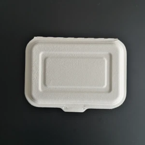 600ML Biodegradable Disposable Food Container Sugarcane Bagasse Packing Box Eco friendly Tableware Take Away Container