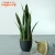 Import 63Cm 90Cm Fake Outdoor Tree Plastic Leaf Realistic Artifical Snake Plant With Pot from China