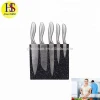 6PCS Stainless Steel Kitchen Knife Set with Magnetic Block