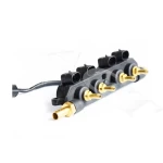 ACT cng lpg system /vehicles  injector rail