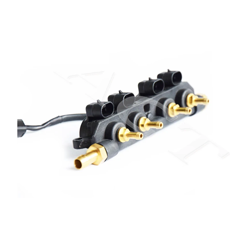 ACT cng lpg system /vehicles  injector rail