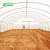 Import Agricultural Single Span Plastic Tunnel Greenhouse from China
